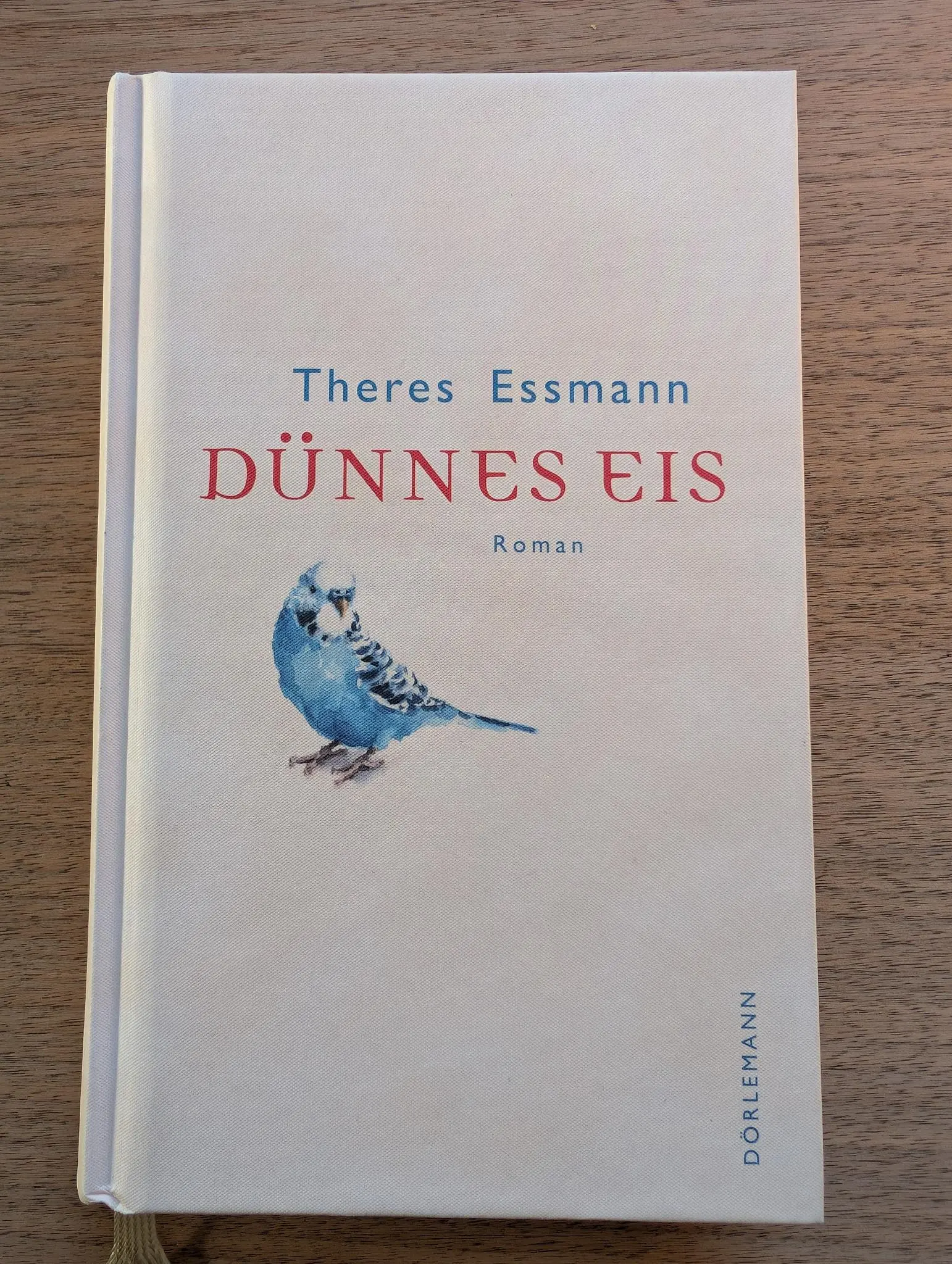Dünnes Eis