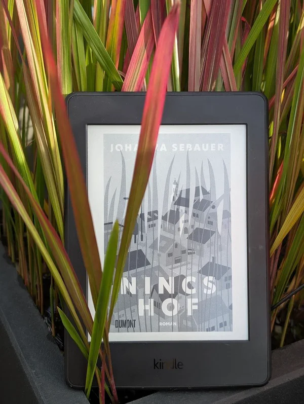 Buch Besprechung Nincshof Johanna Sebauer