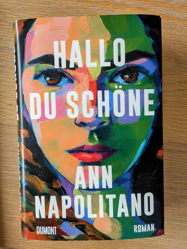 Buch Besprechung Hallo, du Schöne Ann Napolitano